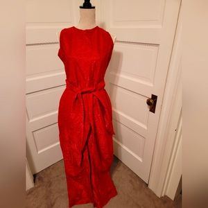 Fun sparkly jumpsuit!